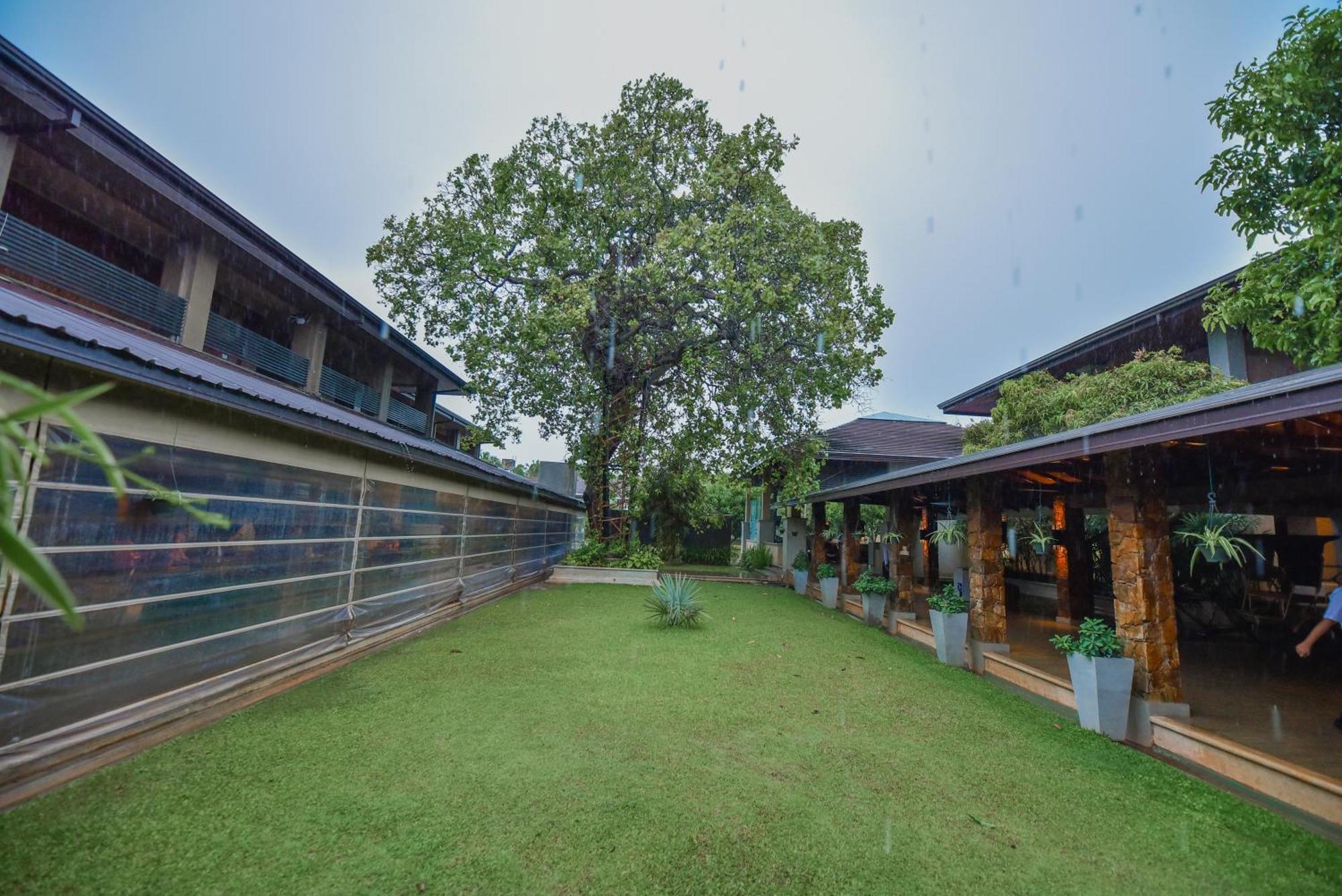 The Full Moon Hotel Katunayaka Extérieur photo